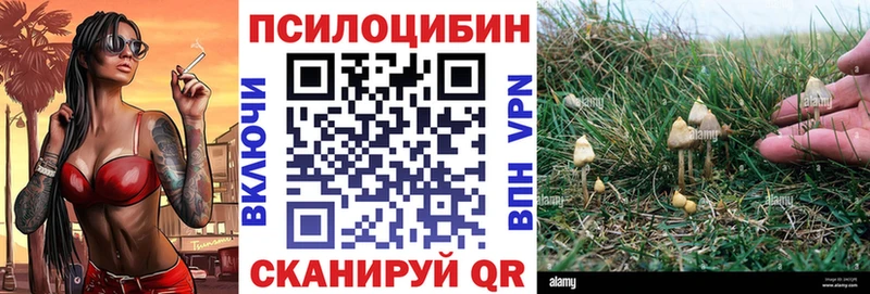 Галлюциногенные грибы прущие грибы  купить наркоту  Малоярославец 