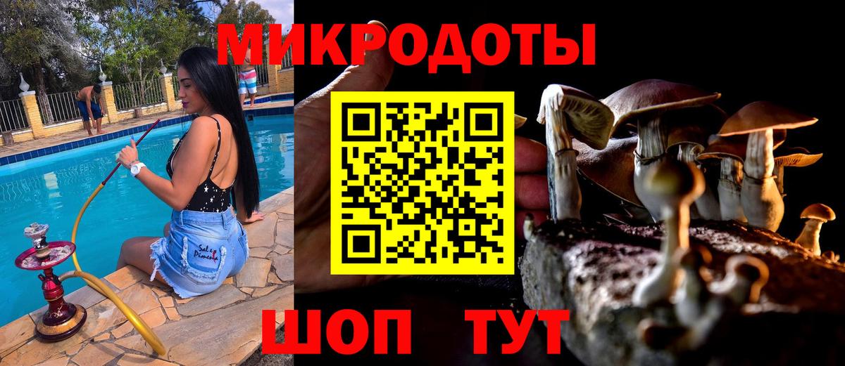 Галлюциногенные грибы прущие грибы  Вход с VPN  Псилоцибиновые грибы мухоморы  Малоярославец 